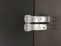 G-Biosciences T7 RNA Polymerase